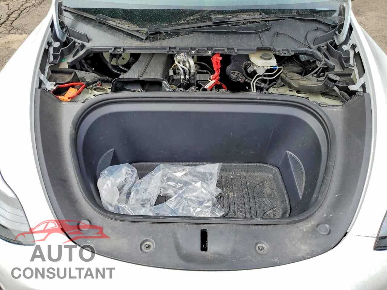 TESLA MODEL Y 2024 - 7SAYGAEE6RF191837