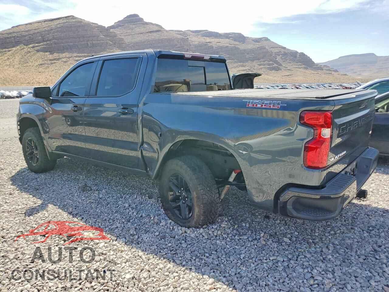 CHEVROLET SILVERADO 2019 - 3GCPYFEDXKG193147