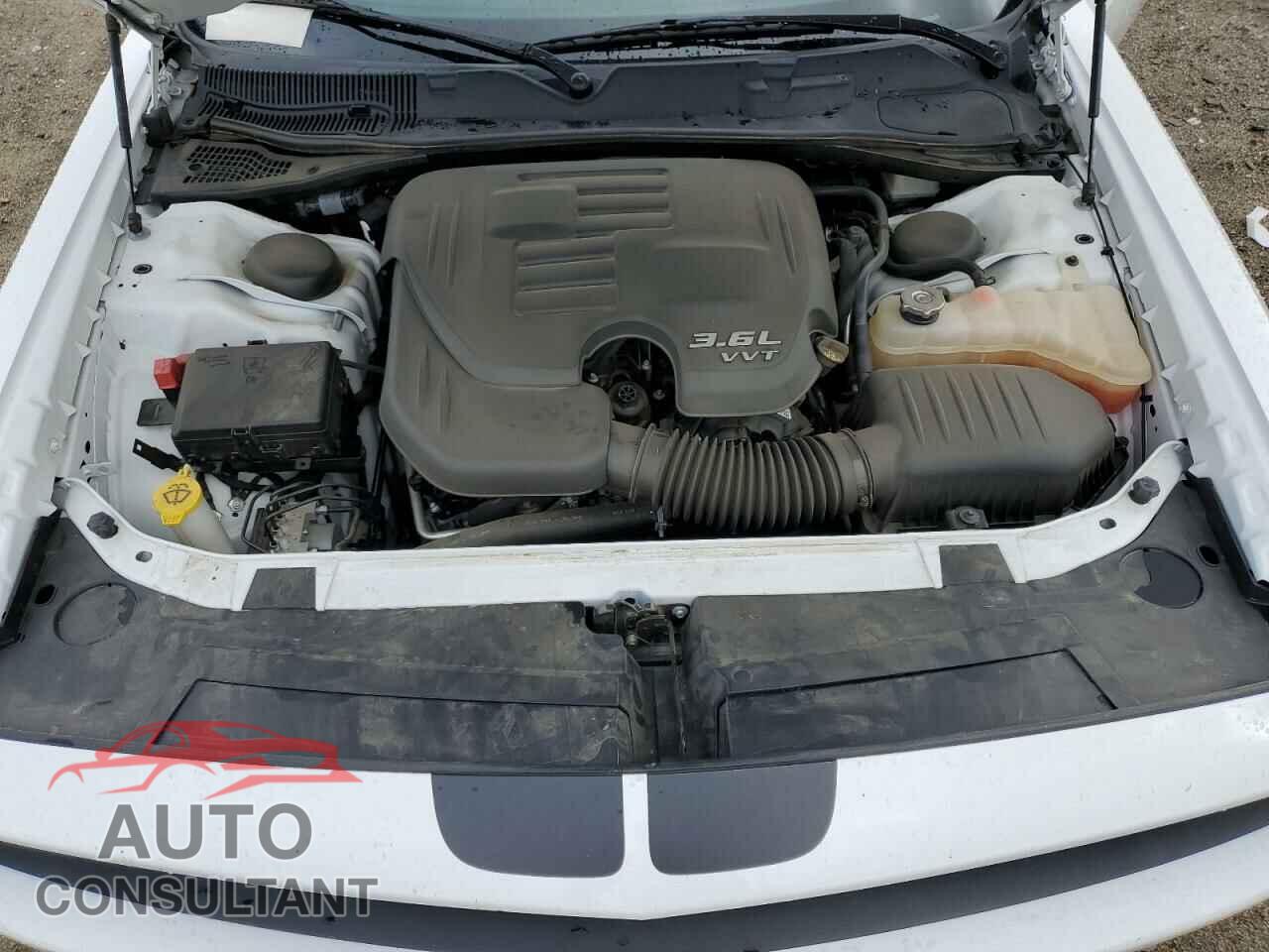 DODGE CHALLENGER 2019 - 2C3CDZAG5KH574405