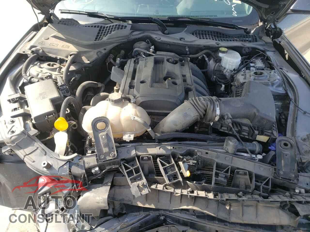 FORD MUSTANG 2019 - 1FA6P8TH9K5175218