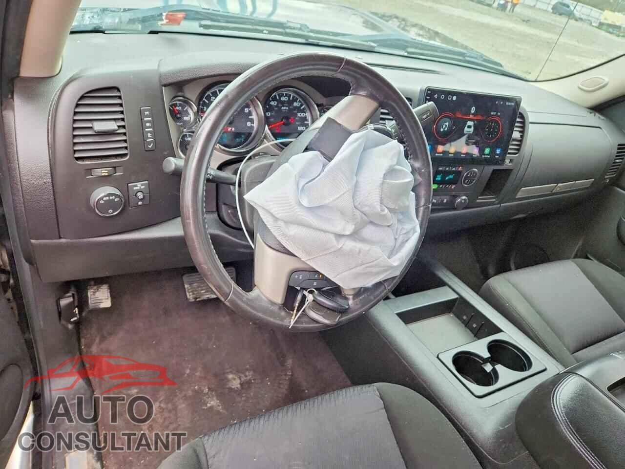 CHEVROLET SILVERADO 2010 - 1GCSKSE3XAZ268391