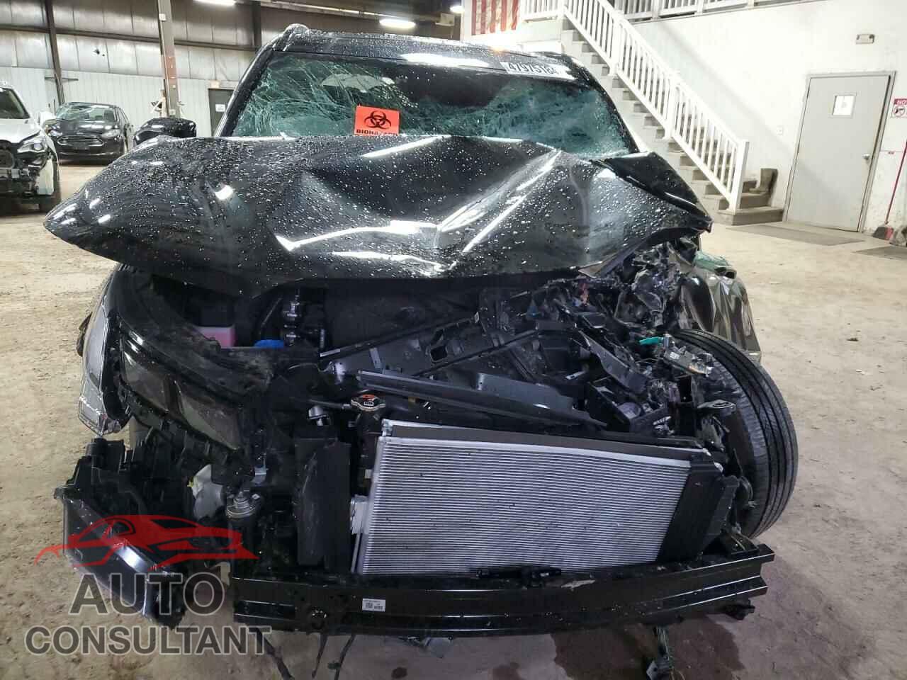 HYUNDAI PALISADE 2024 - KM8R7DGEXRU720161
