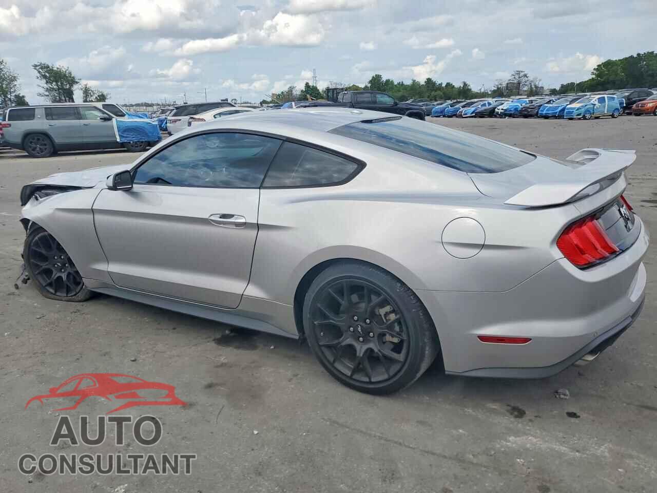 FORD ALL Models 2019 - 1FA6P8TH5K5124511