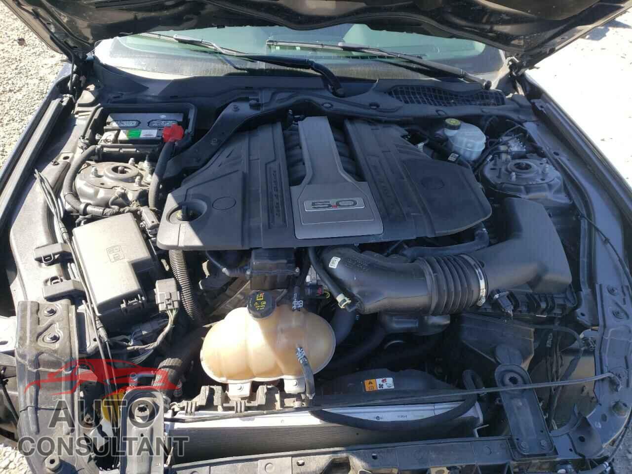 FORD MUSTANG 2019 - 1FA6P8CF3K5123436