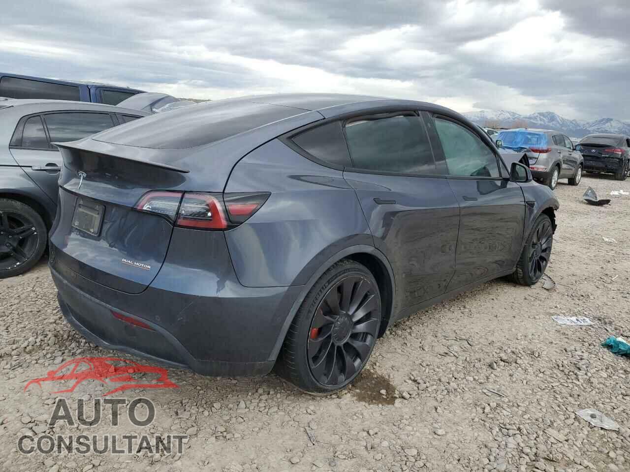 TESLA MODEL Y 2022 - 7SAYGDEF6NF461492
