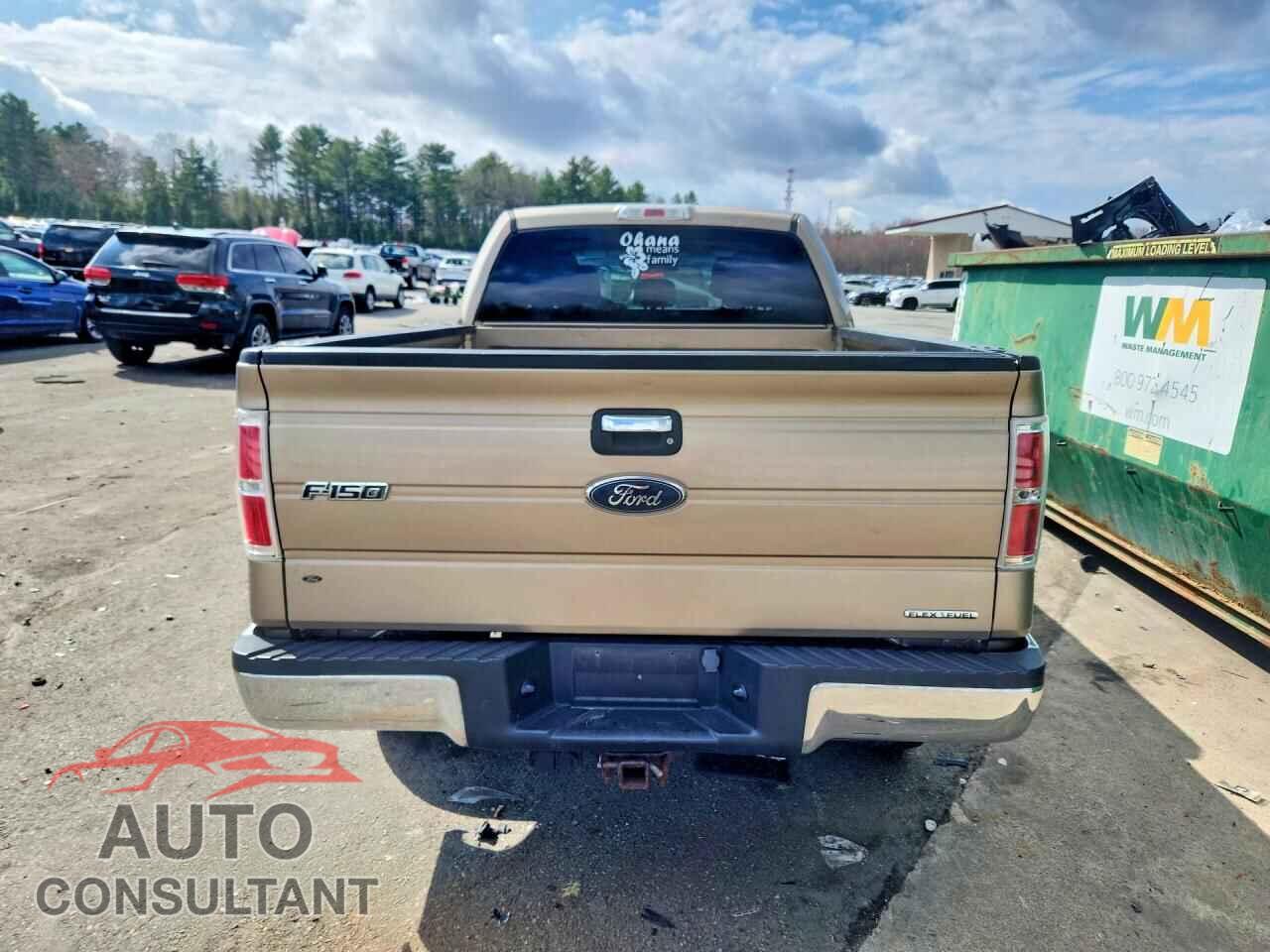 FORD F150 2013 - 1FTFW1EFXDFD87526