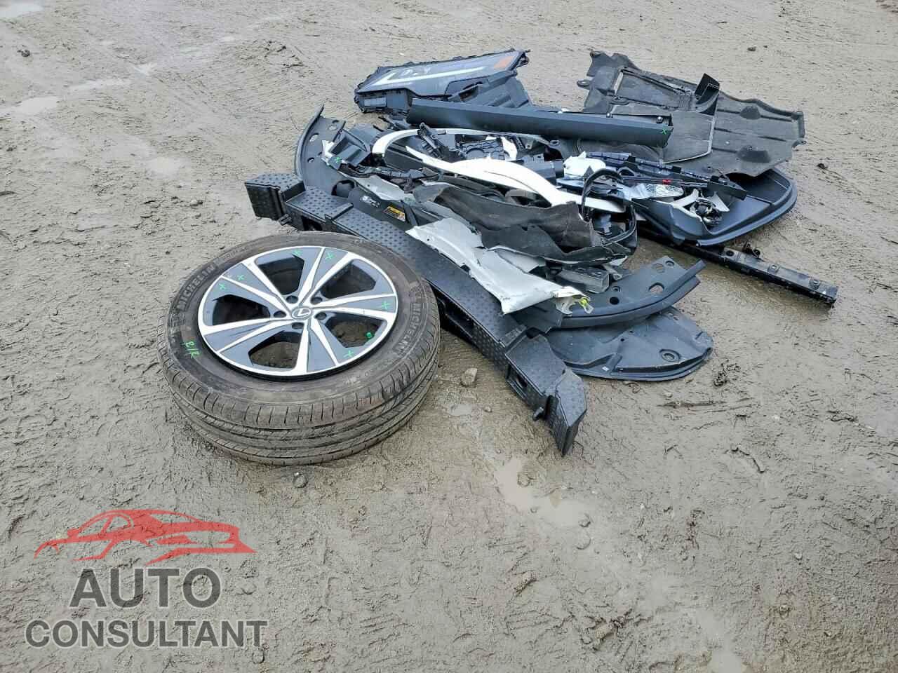 LEXUS UNKNOWN 2024 - 2T2BBMCA3RC030459