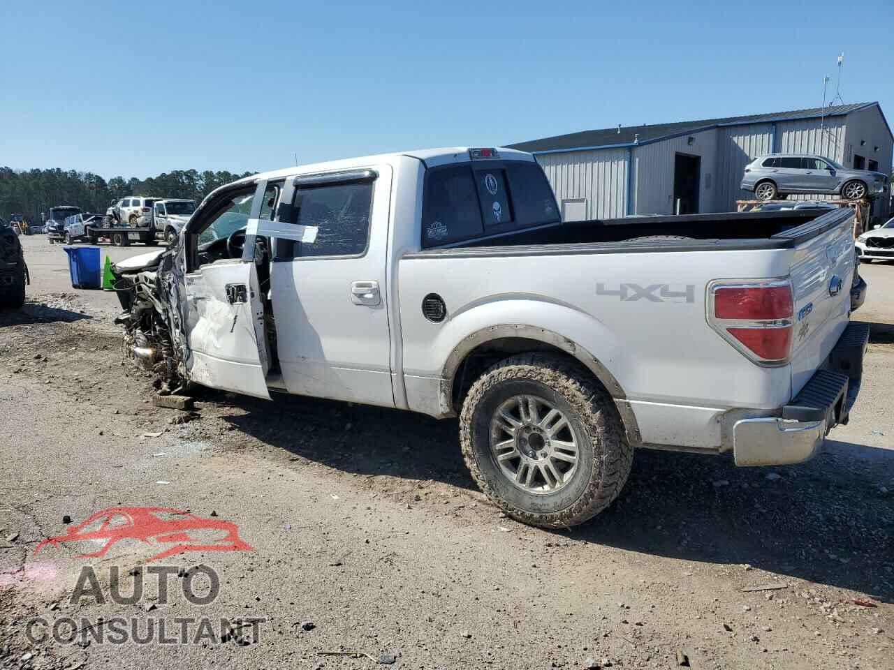 FORD F-150 2010 - 1FTFW1EV0AFB08894