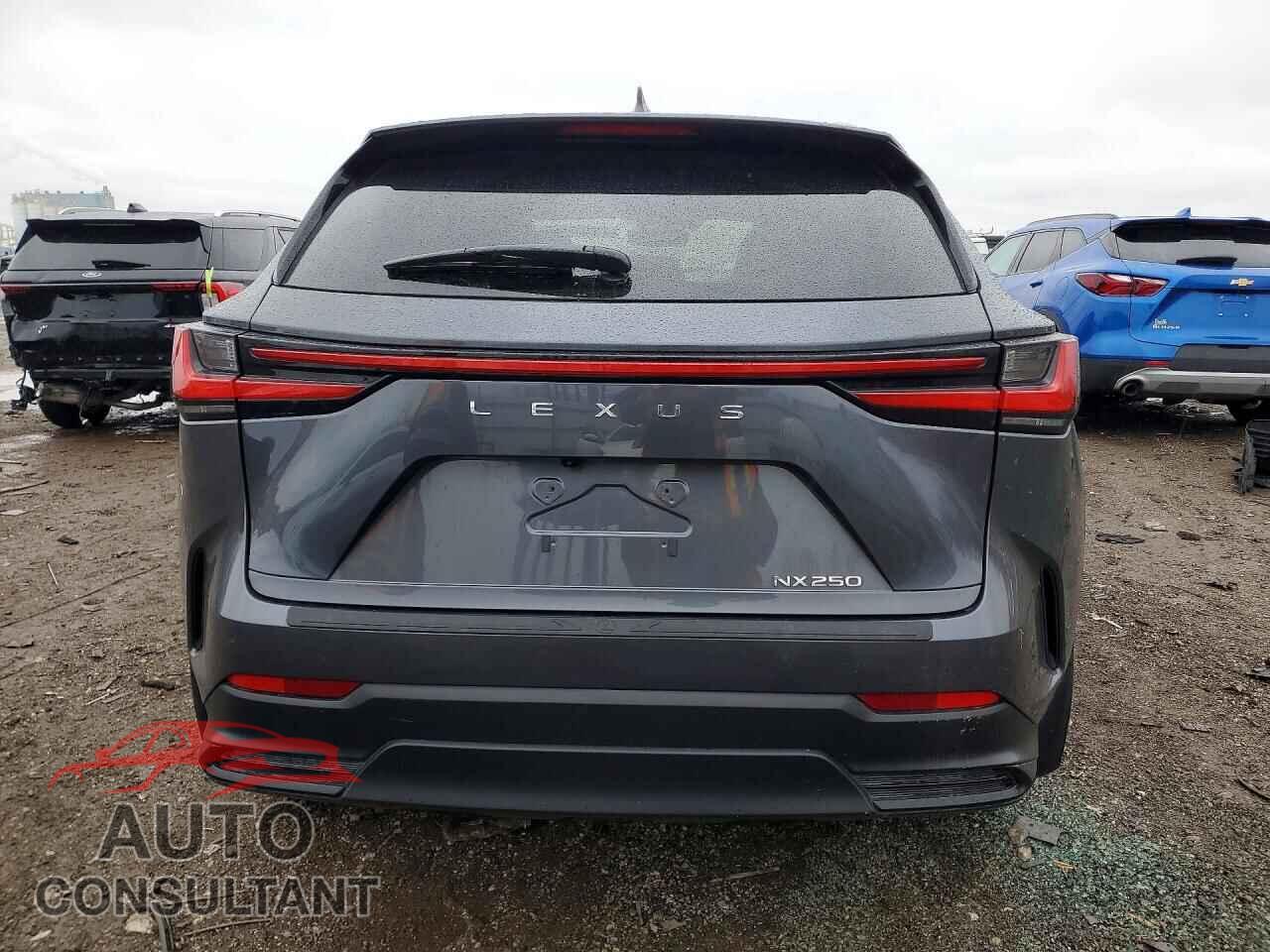 LEXUS NX 2024 - 2T2GDCAZ6RC007907