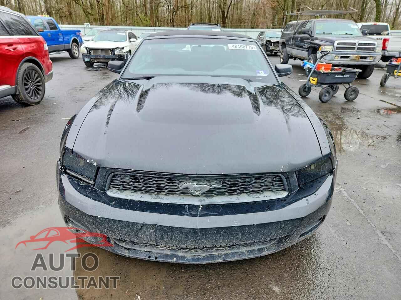 FORD MUSTANG 2011 - 1ZVBP8EM4B5129425