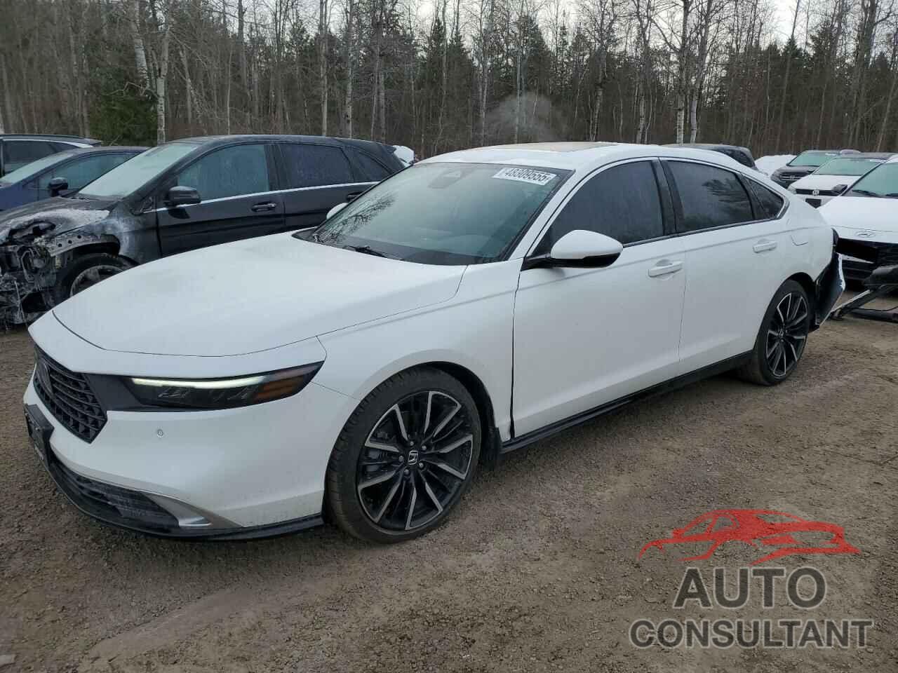 HONDA ACCORD 2024 - 1HGCY2F83RA802484