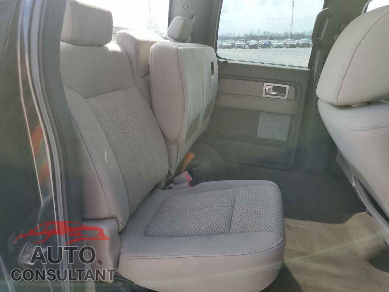 FORD F-150 2009 - 1FTRW14859FA89764