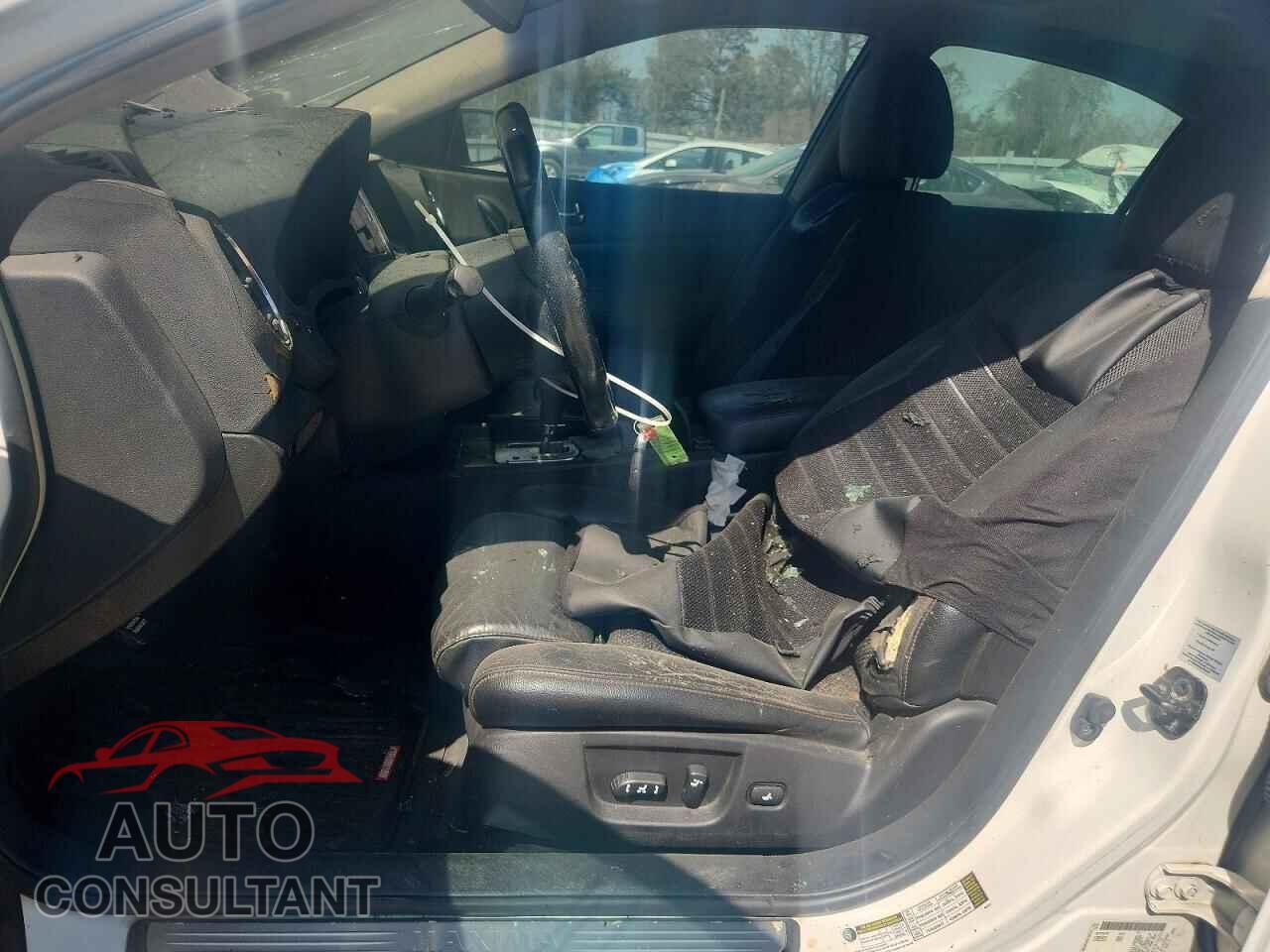 NISSAN MAXIMA 2009 - 1N4AA51E79C856101