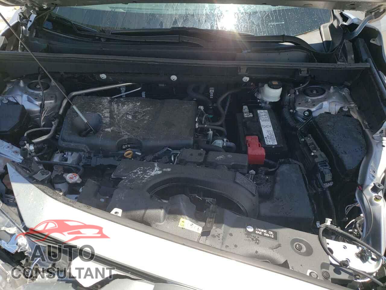 TOYOTA RAV4 2019 - 2T3W1RFV2KW024569