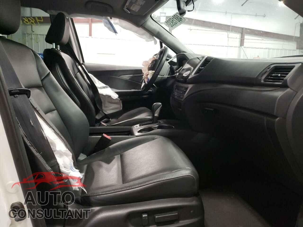 HONDA RIDGELINE 2019 - 5FPYK3F60KB024854