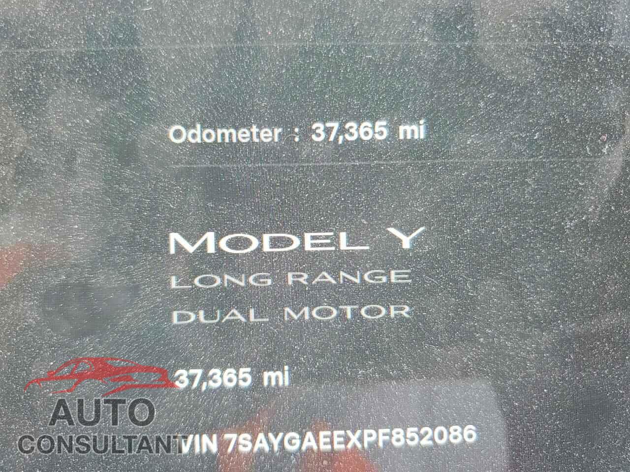 TESLA MODEL Y 2023 - 7SAYGAEEXPF852086