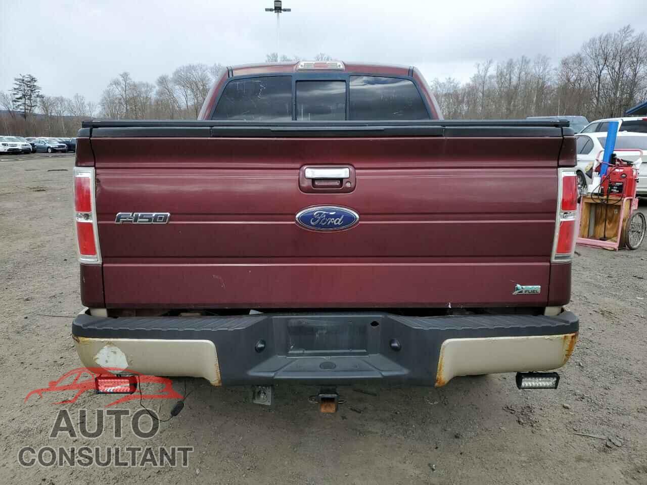 FORD F-150 2010 - 1FTFW1EV6AKA38311
