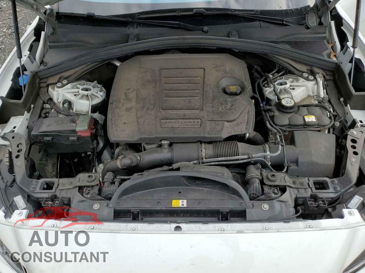 JAGUAR F-PACE 2020 - SADCJ2FX8LA620138