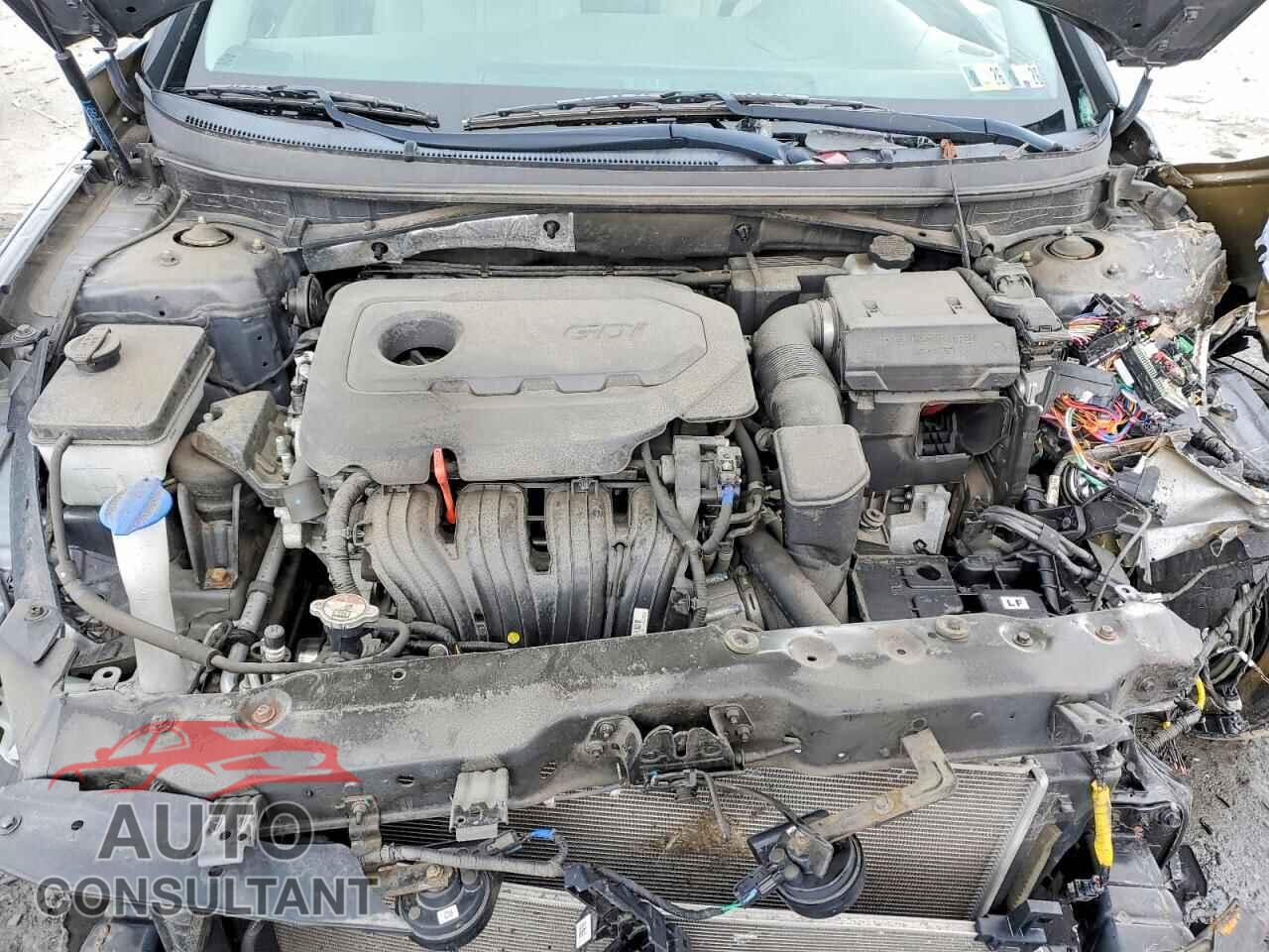 HYUNDAI SONATA 2019 - 5NPE34AF6KH811802