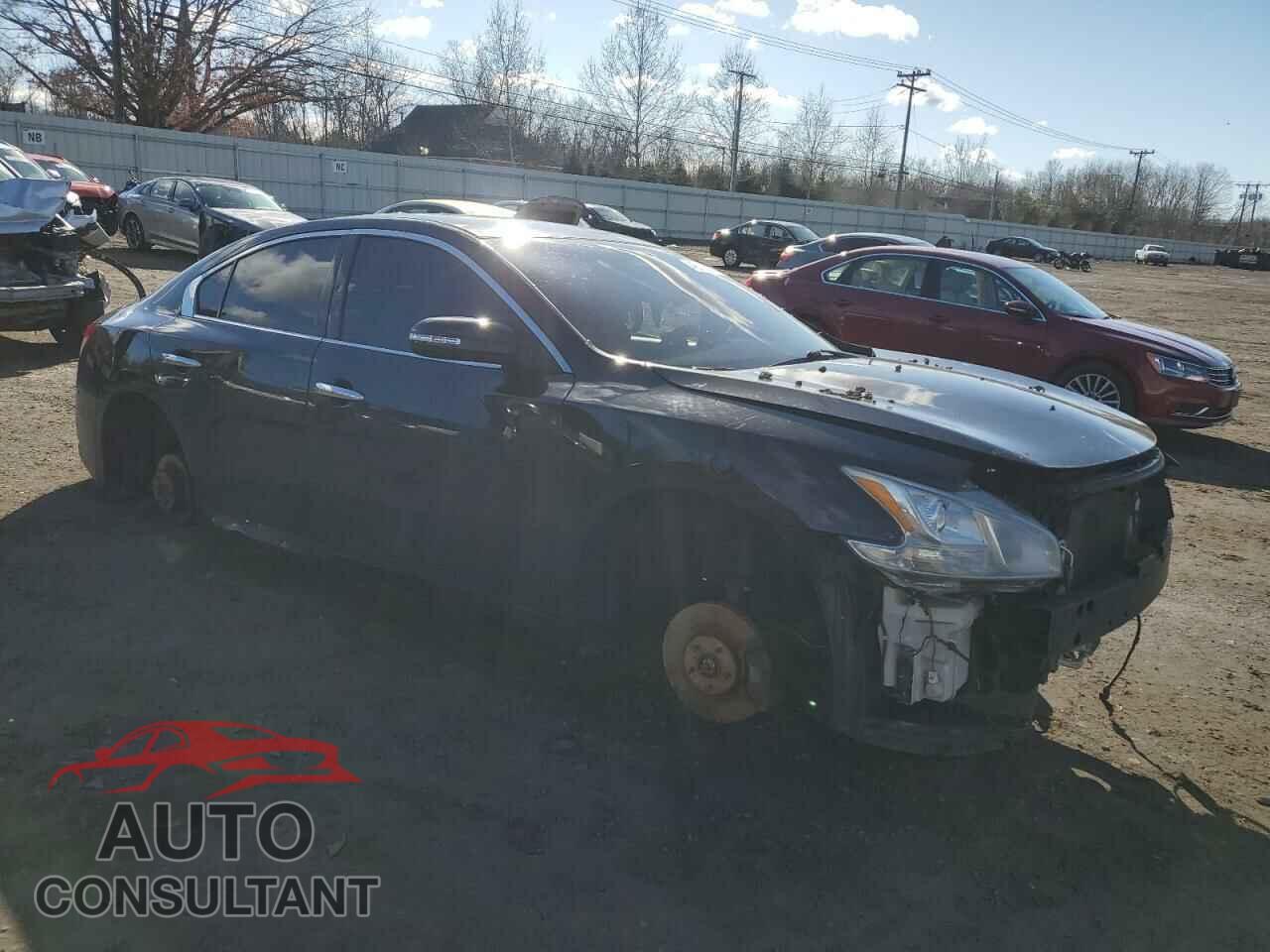 NISSAN MAXIMA 2010 - 1N4AA5AP6AC863353