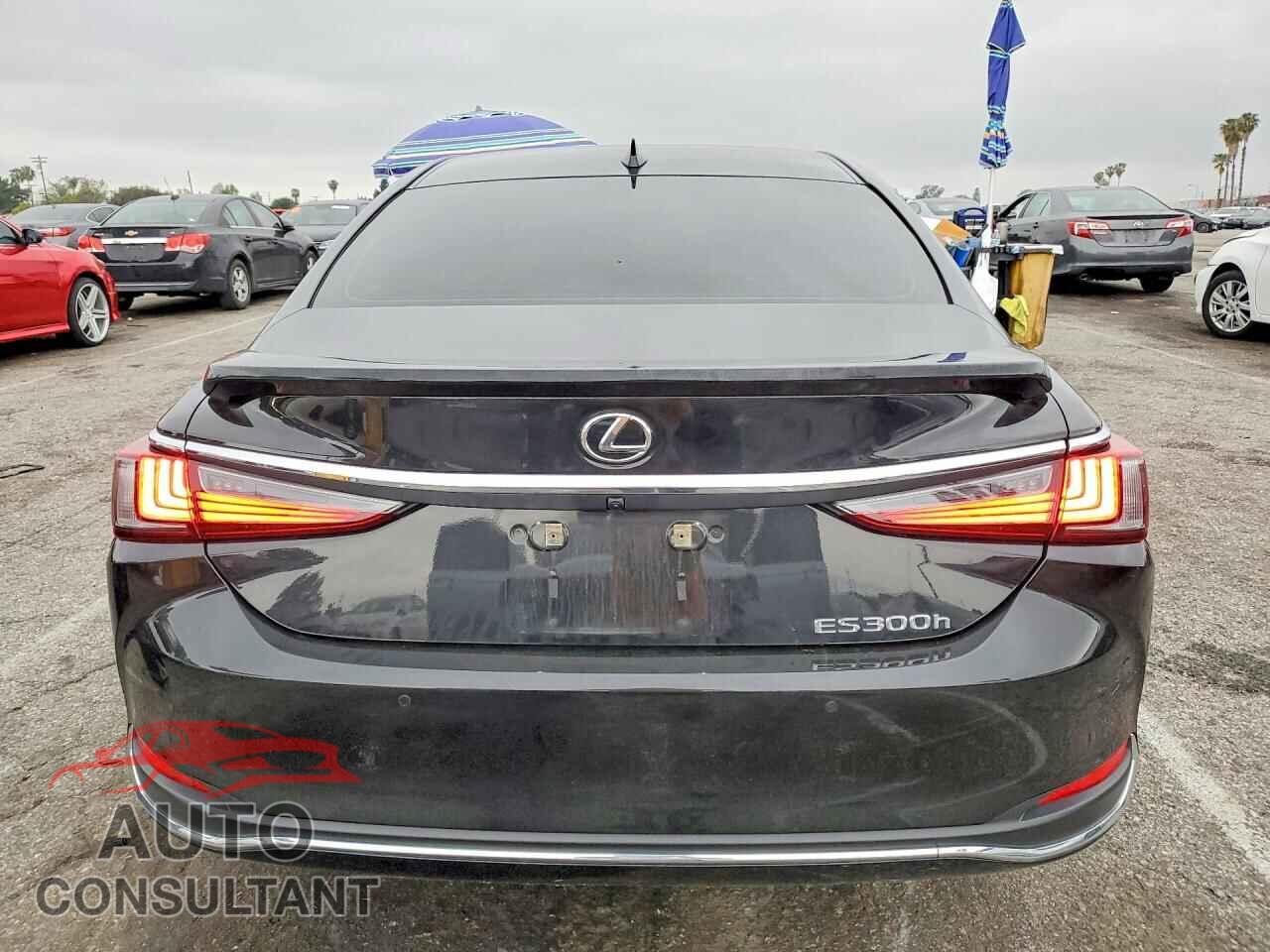 LEXUS ES300 2025 - 58ADA1C17SU067428