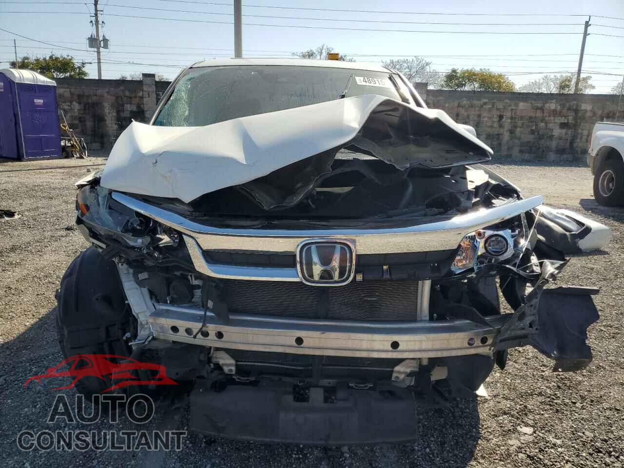 HONDA PILOT 2019 - 5FNYF5H55KB027486