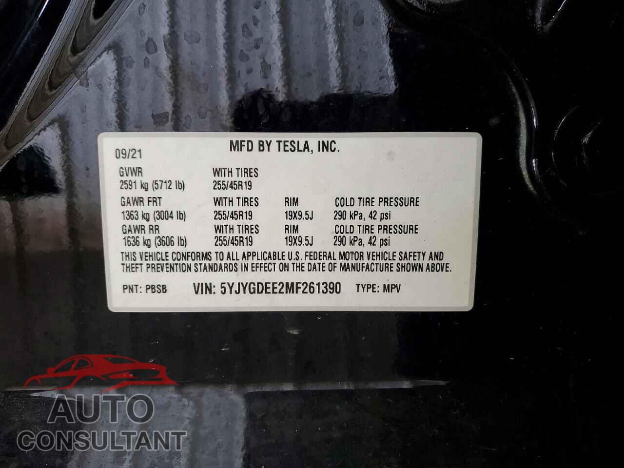 TESLA MODEL Y 2021 - 5YJYGDEE2MF261390