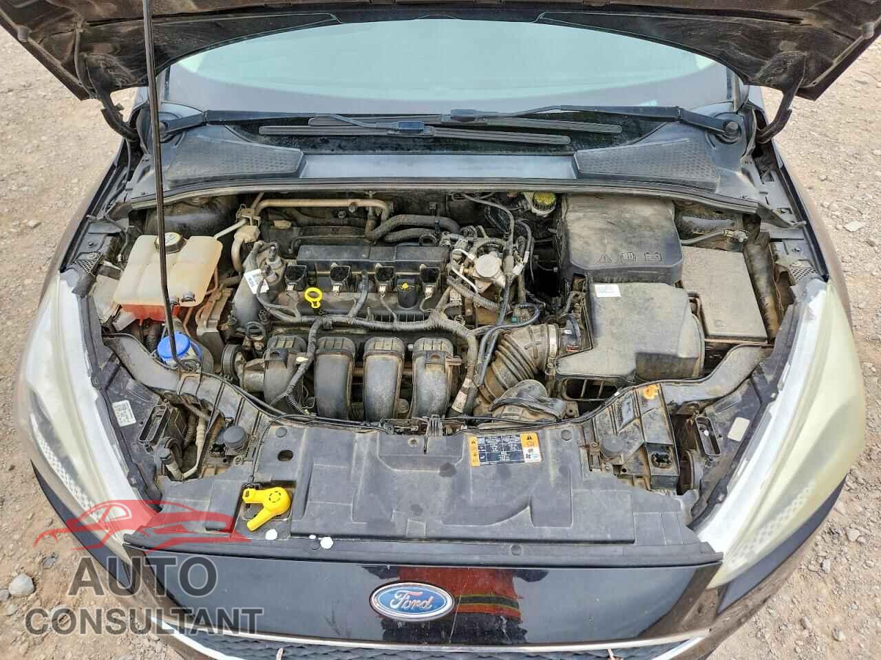 FORD FOCUS 2016 - 1FADP3F29GL363998
