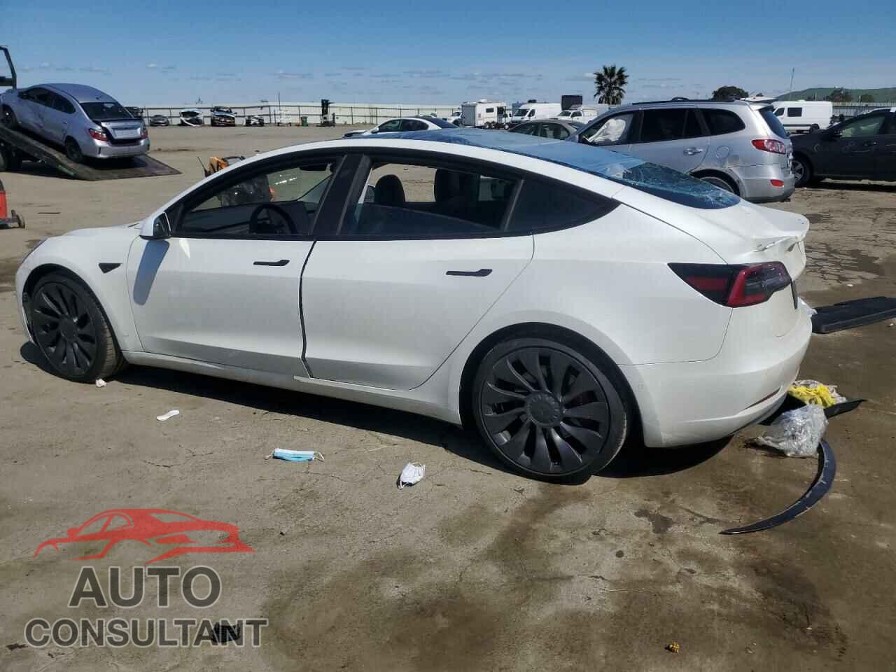 TESLA MODEL 3 2021 - 5YJ3E1ECXMF091342