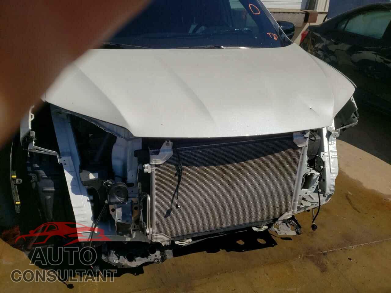 HONDA PASSPORT 2019 - 5FNYF7H92KB005105