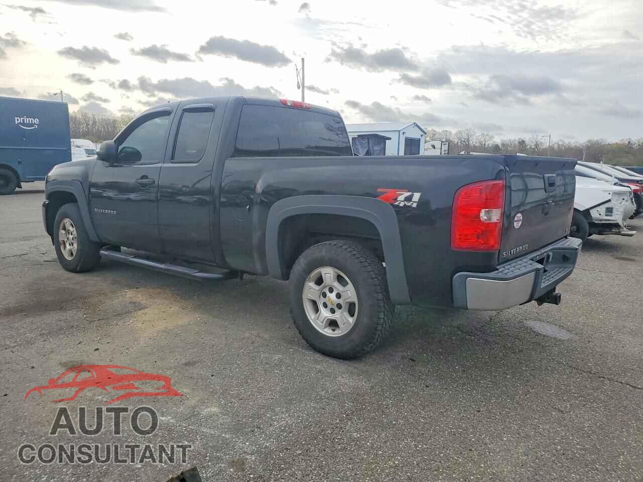 CHEVROLET SILVERADO 2009 - 1GCEK29019Z293091