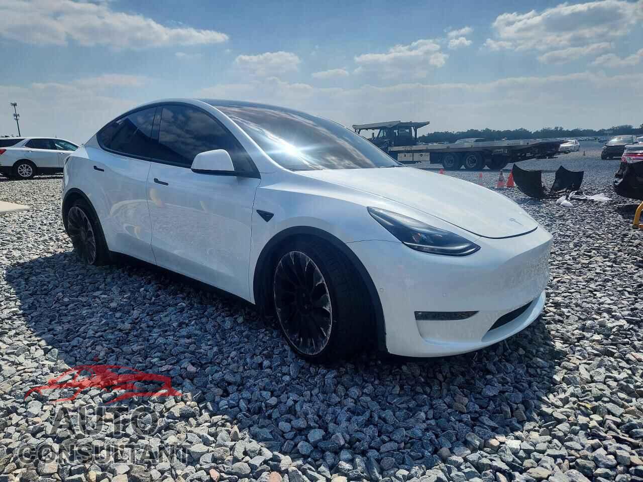 TESLA MODEL Y 2022 - 7SAYGDEF2NF452501