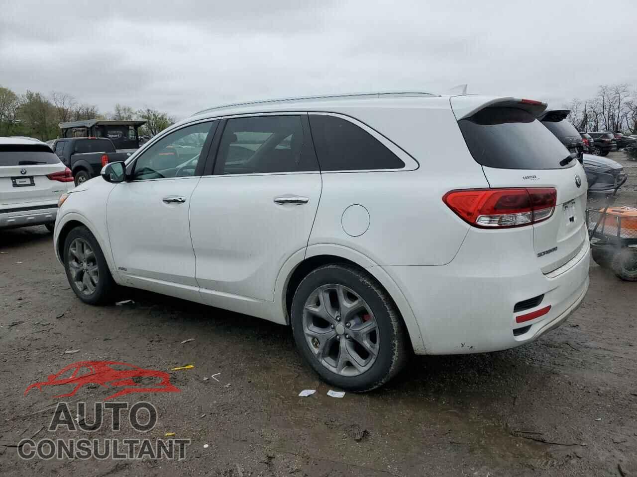KIA SORENTO 2016 - 5XYPKDA59GG010749