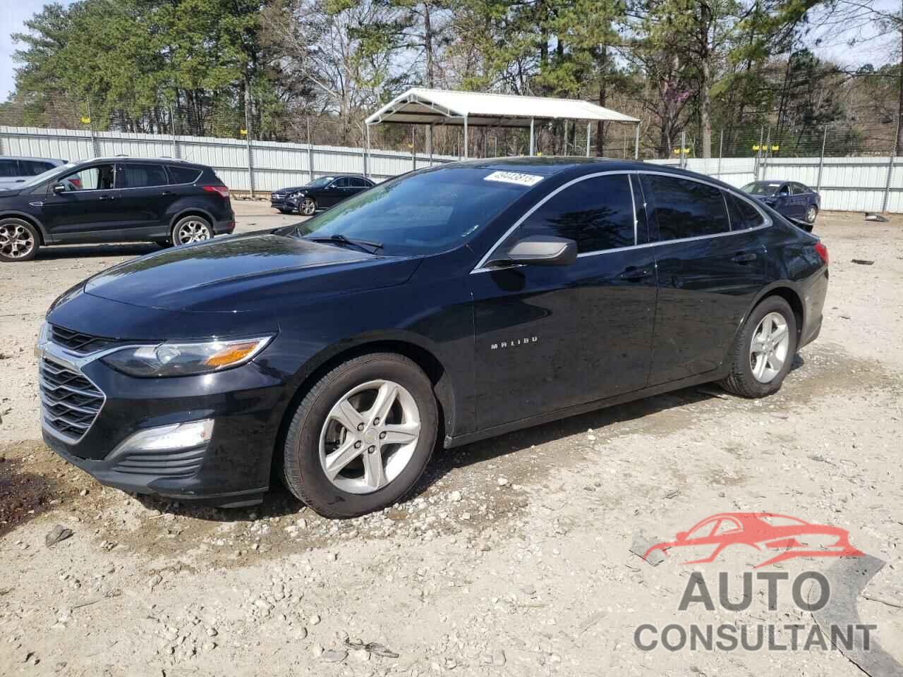 CHEVROLET MALIBU 2019 - 1G1ZB5ST5KF156887