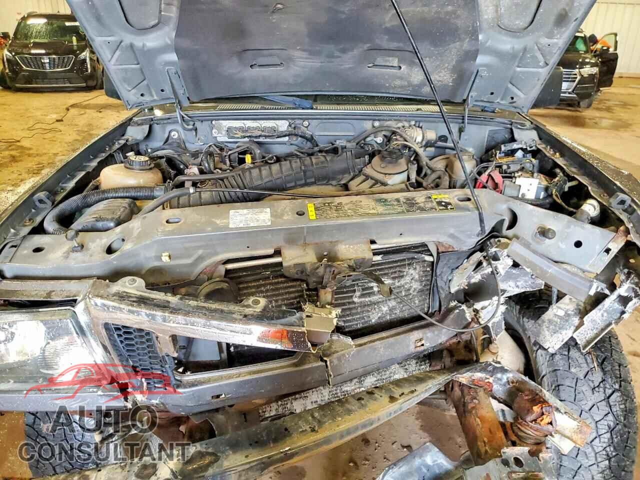FORD RANGER 2009 - 1FTYR14D49PA20154