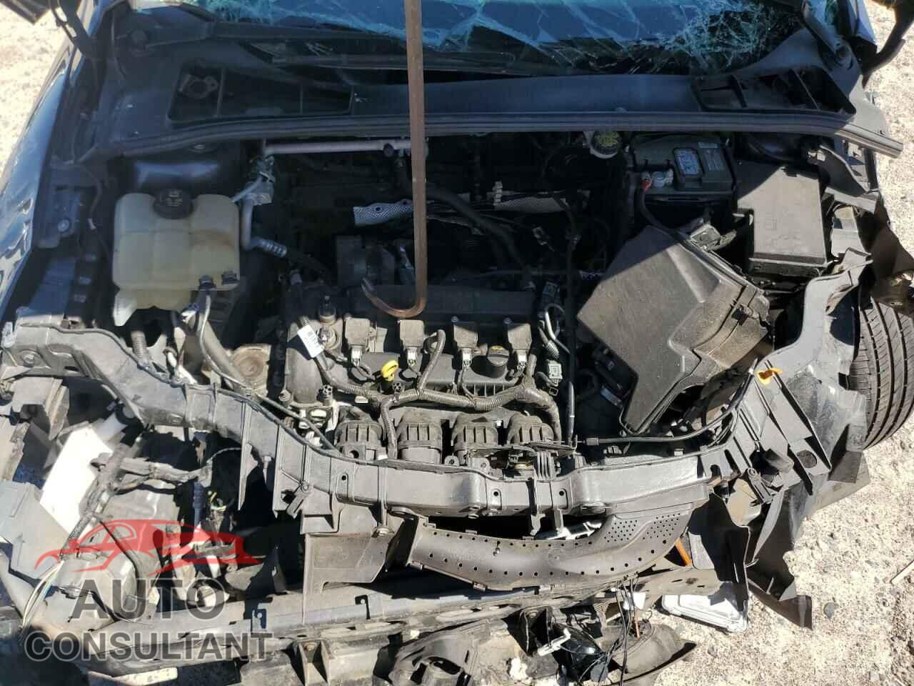 FORD FOCUS 2016 - 1FADP3F22GL373790