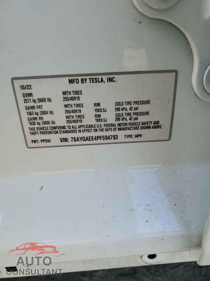 TESLA MODEL Y 2023 - 7SAYGAEE4PF594793