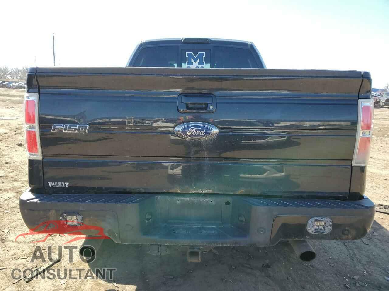 FORD F-150 2013 - 1FTFW1ET1DFC79012