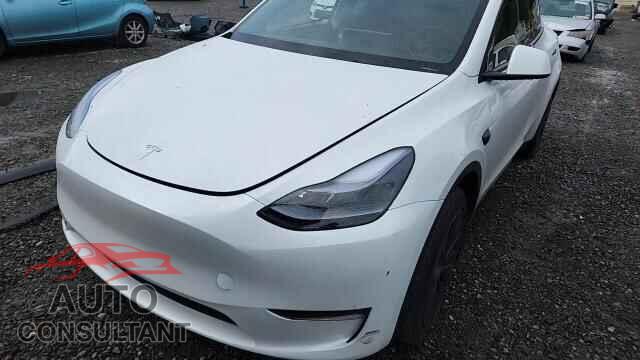 TESLA MODEL Y 2024 - 7SAYGDEE4RF190459