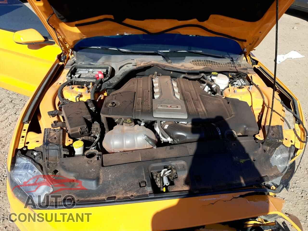 FORD MUSTANG 2019 - 1FA6P8CF7K5143883