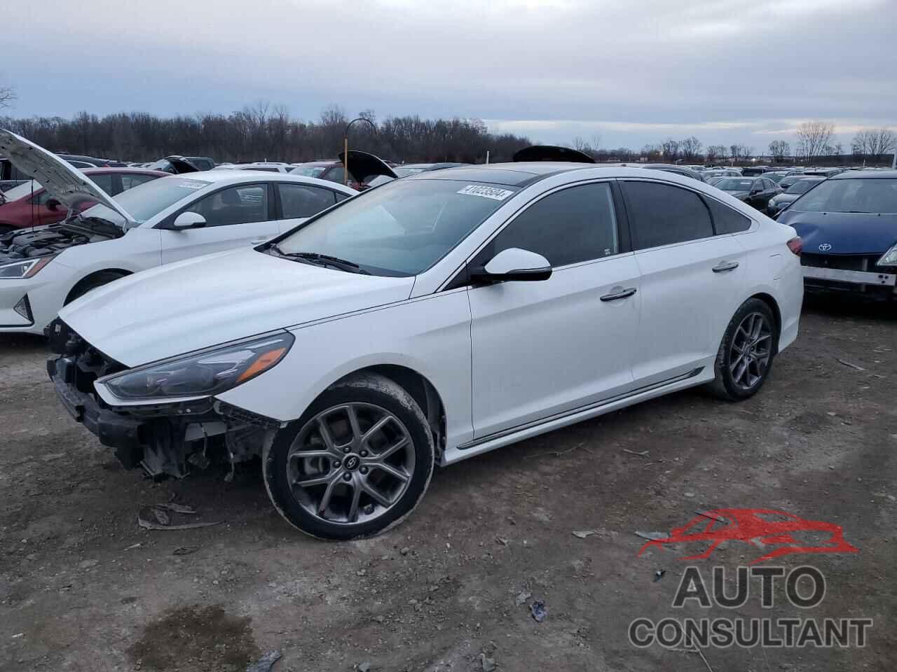 HYUNDAI SONATA 2019 - 5NPE34AB3KH806280
