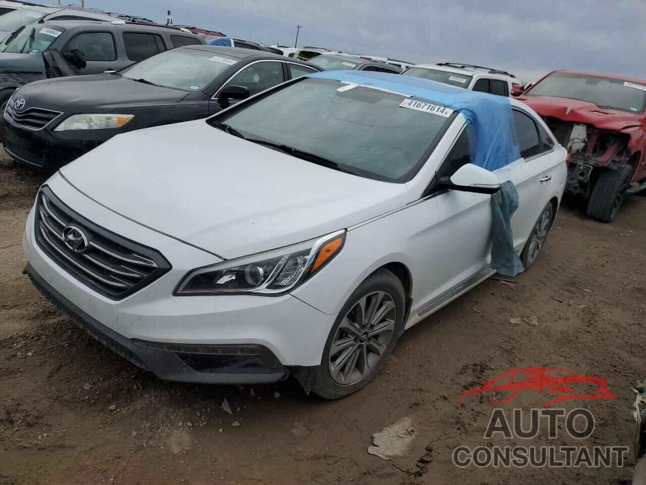 HYUNDAI SONATA 2016 - 5NPE34AF0GH306992