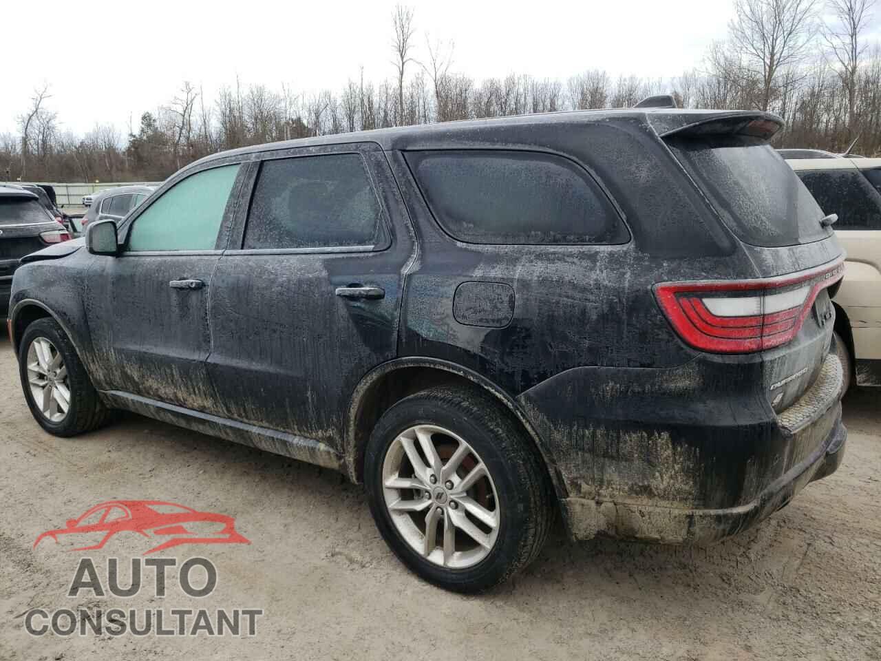 DODGE DURANGO 2023 - 1C4RDJDG5PC556497