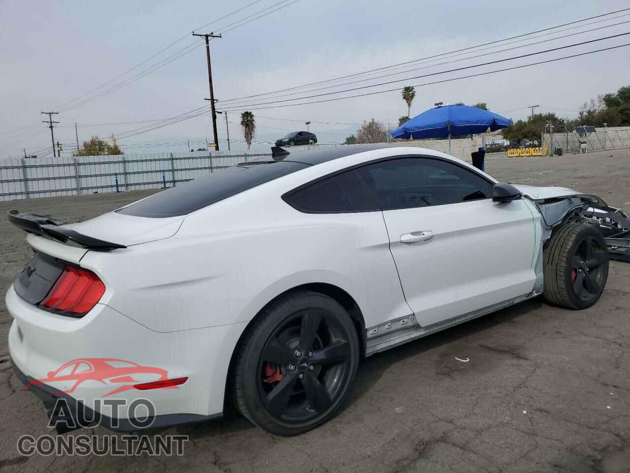 FORD MUSTANG 2021 - 1FA6P8CF7M5121255
