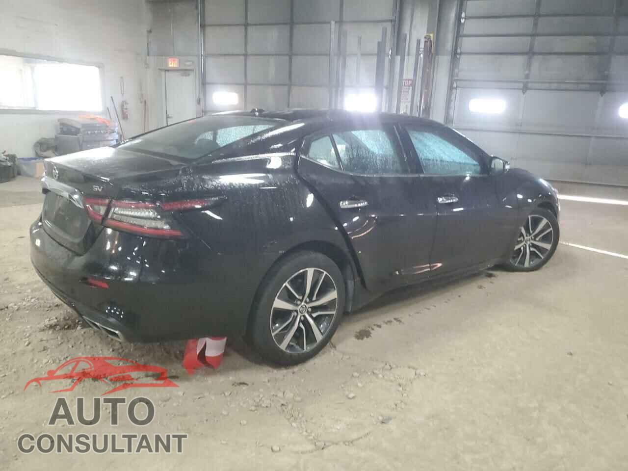 NISSAN MAXIMA 2019 - 1N4AA6AV8KC374507