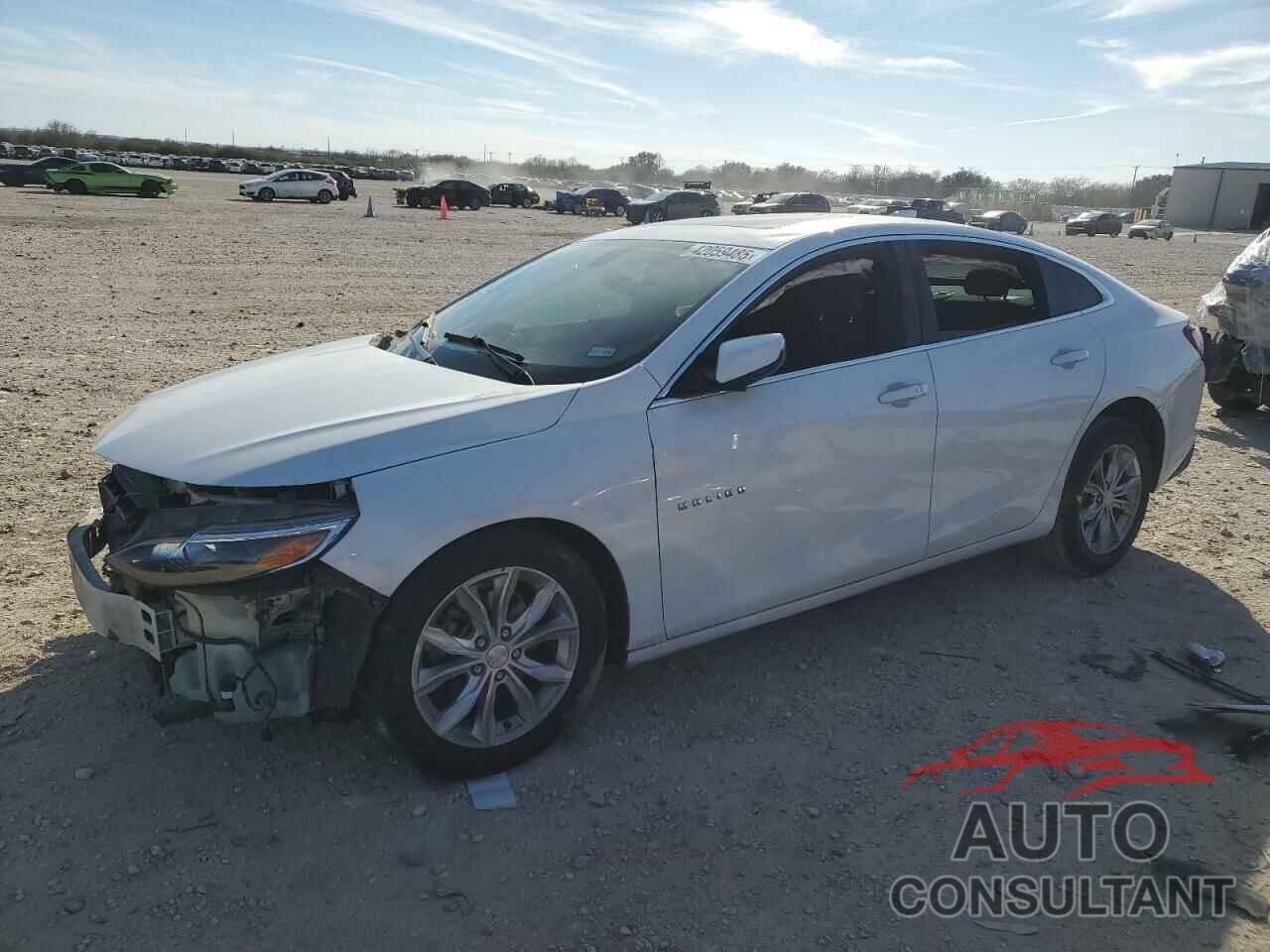 CHEVROLET MALIBU 2019 - 1G1ZD5ST4KF142957