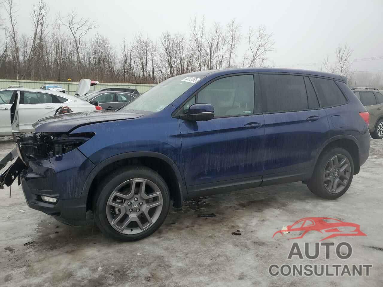 HONDA PASSPORT 2022 - 5FNYF8H5XNB018899