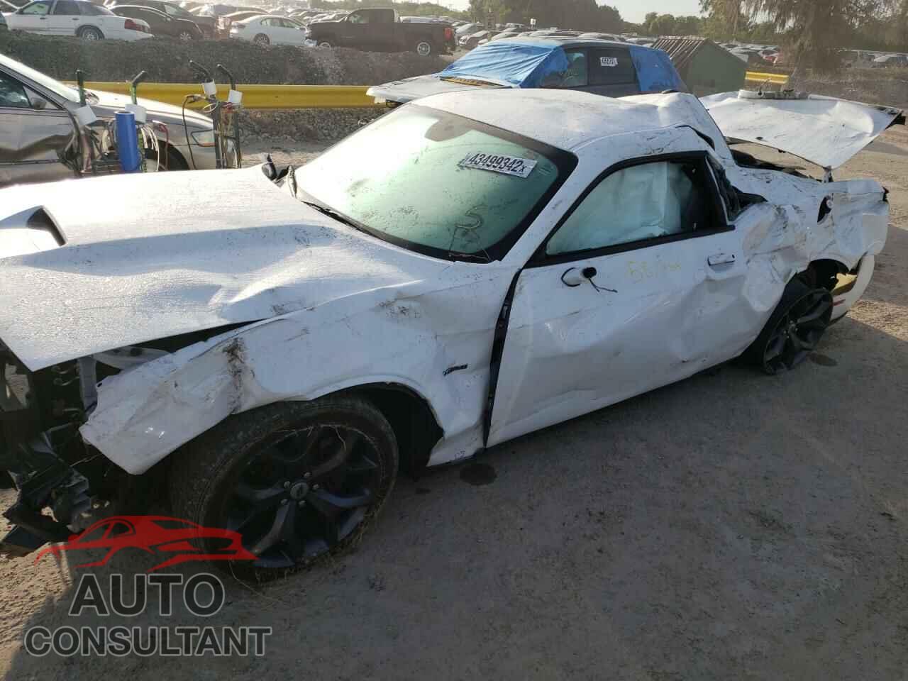 DODGE CHALLENGER 2019 - 2C3CDZBT0KH606396
