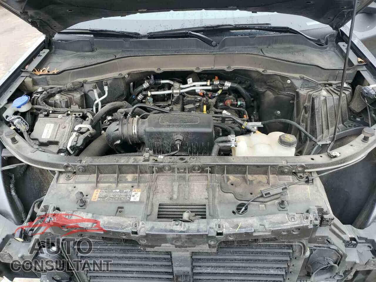 FORD EXPLORER 2022 - 1FMSK7DH3NGB77437