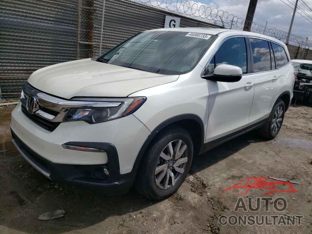 HONDA PILOT 2019 - 5FNYF6H54KB034418